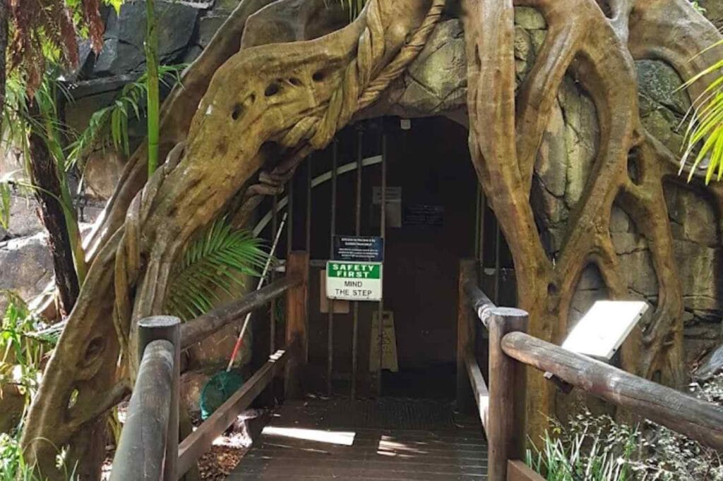 Glow Worm Caves at Tamborine Mountain